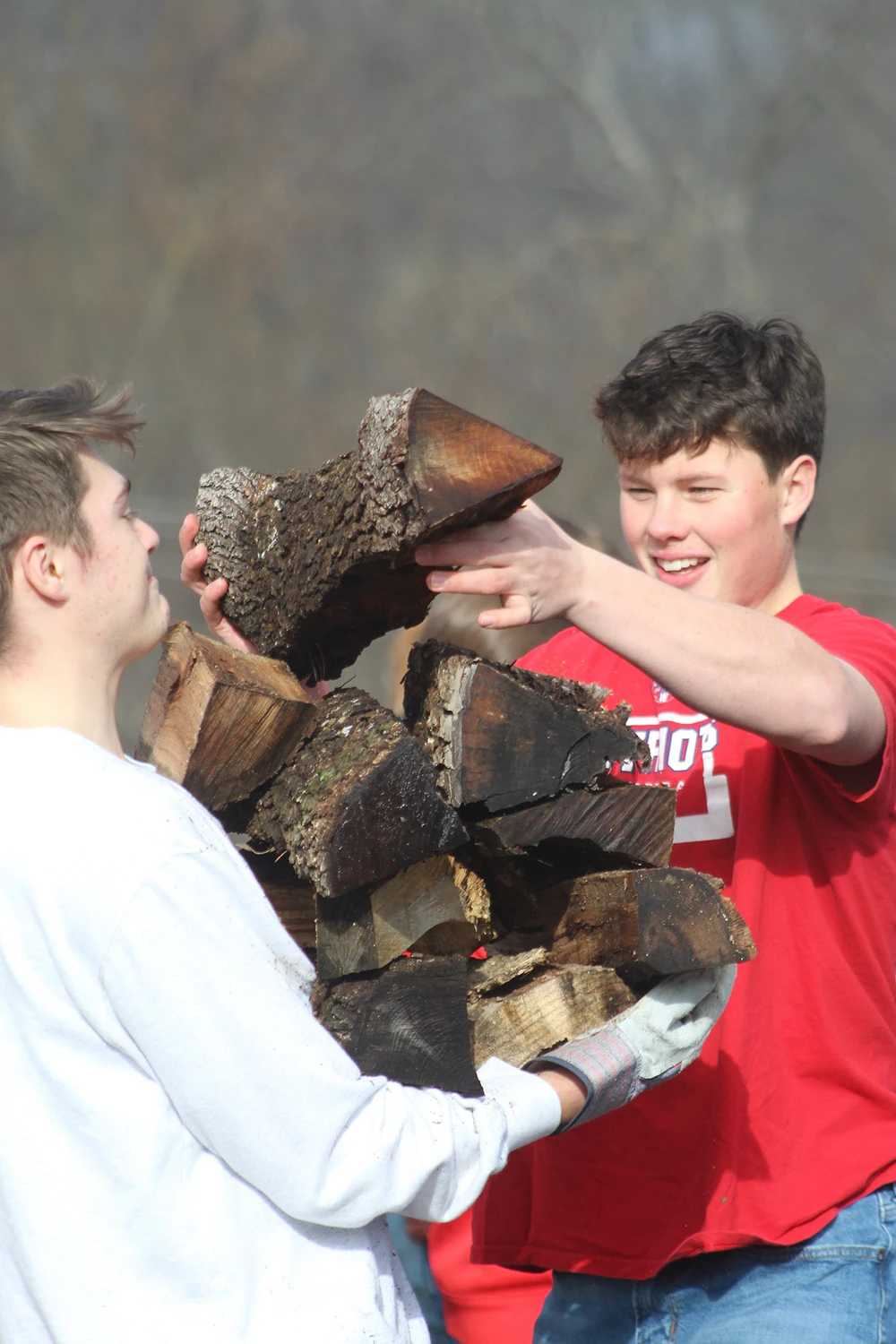 Boys carrying fire wood.